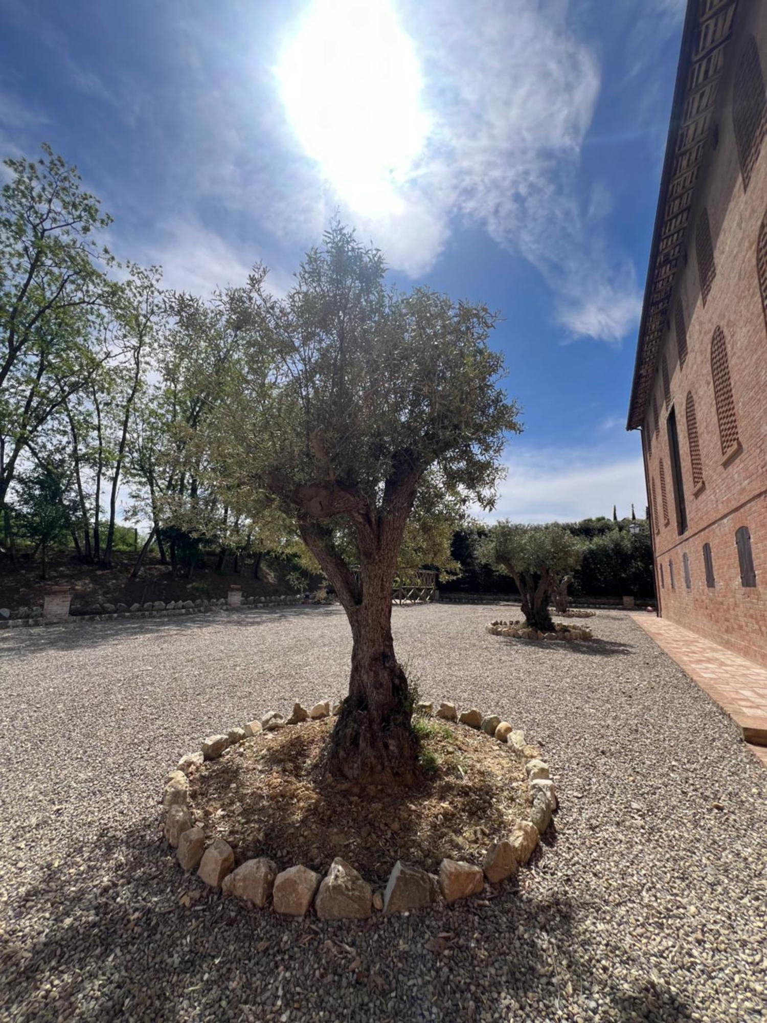 Borgo Villa Valentini Scandiano Exteriör bild